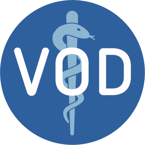 vdo Logo